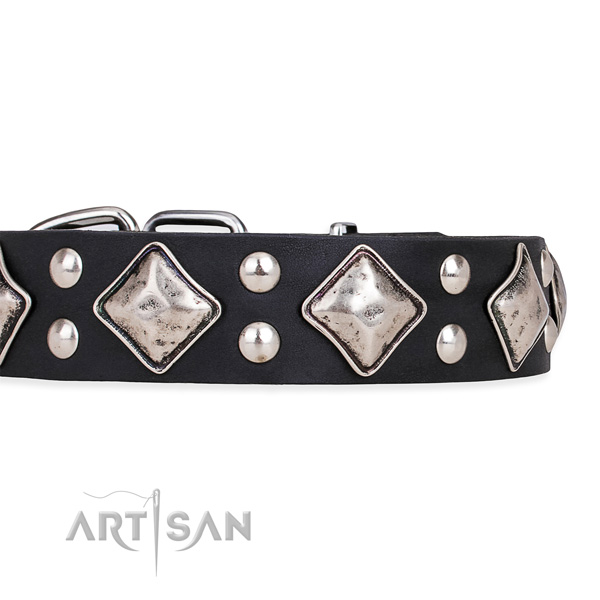 Genuine leather dog collar with designer reliable studs