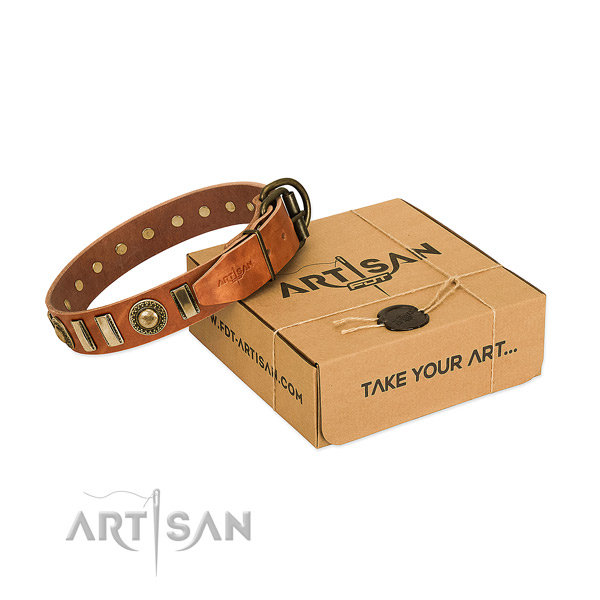 Best quality full grain natural leather dog collar with reliable traditional buckle