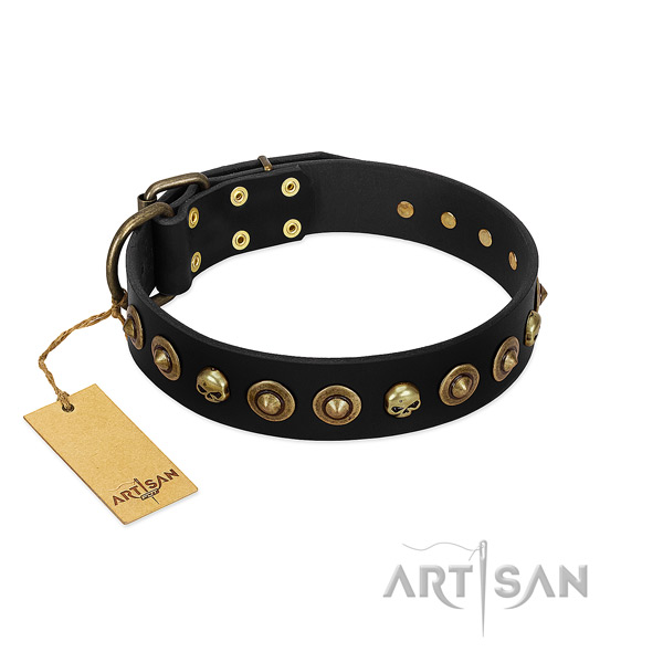 Genuine leather collar with remarkable studs for your canine