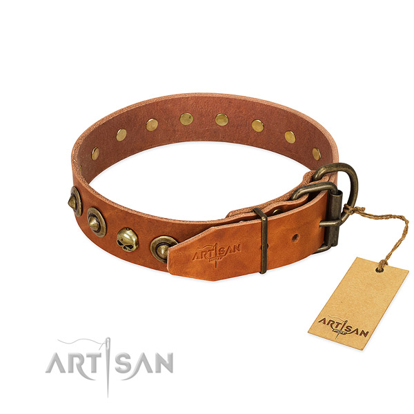 Full grain genuine leather collar with exceptional adornments for your dog