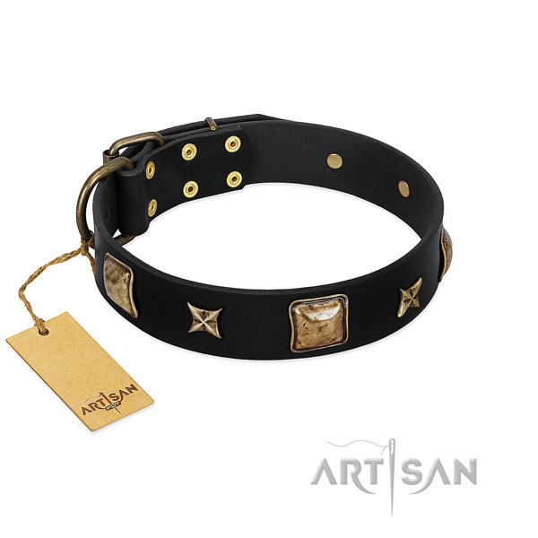 Full grain genuine leather dog collar of high quality material with designer embellishments