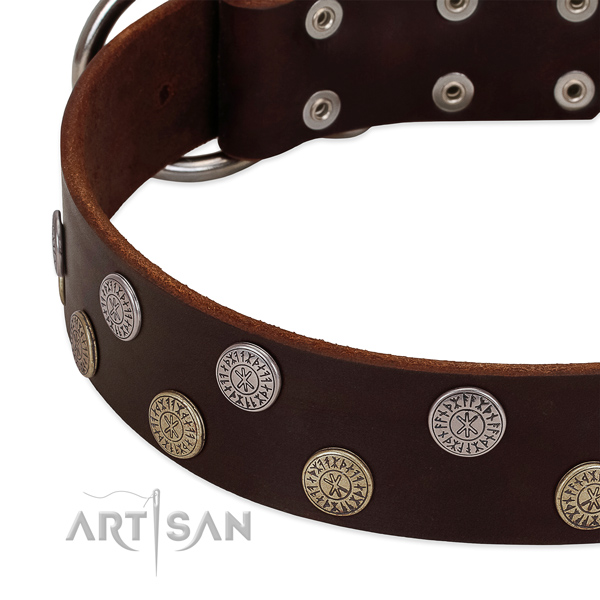 Top rate genuine leather dog collar with decorations for your handsome four-legged friend