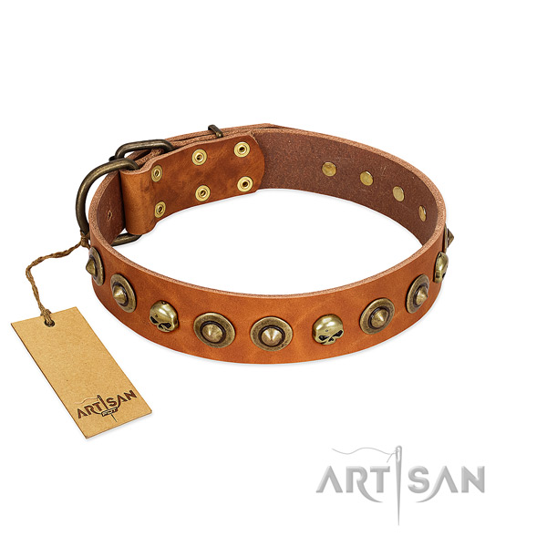 Full grain natural leather collar with stunning studs for your four-legged friend