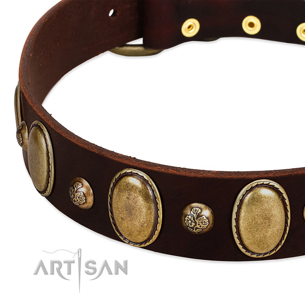 Full grain natural leather dog collar with inimitable decorations