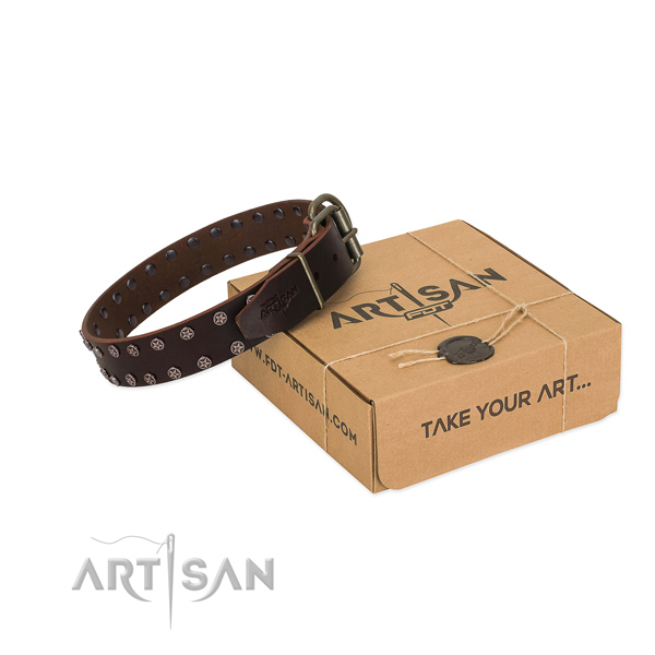 Reliable leather dog collar with decorations for your handsome canine