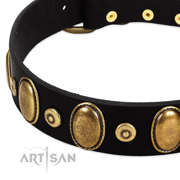 Decorated full grain leather collar for your beautiful dog