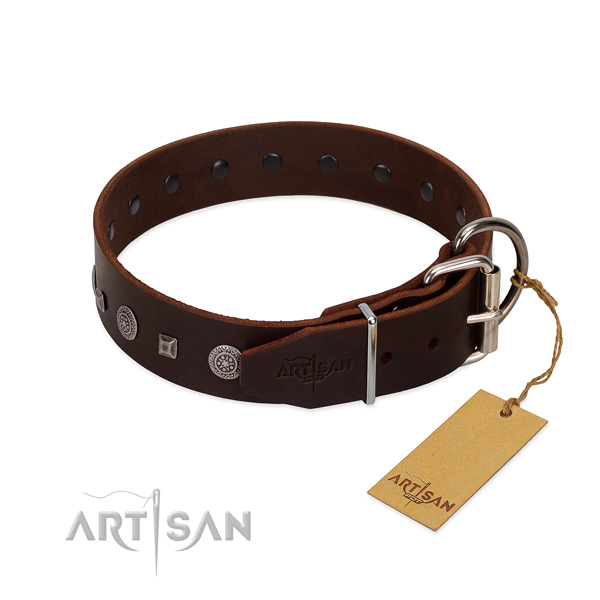 Soft natural leather collar with decorations for your four-legged friend