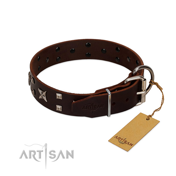 High quality full grain leather dog collar with fashionable adornments