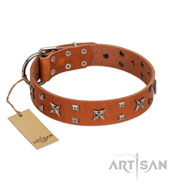 Soft to touch full grain natural leather dog collar with studs for stylish walking