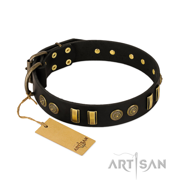Corrosion proof decorations on full grain natural leather dog collar for your four-legged friend