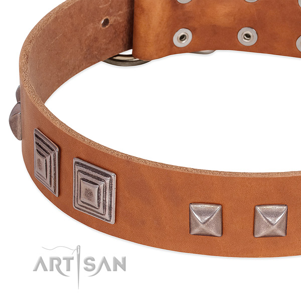 Natural leather dog collar with corrosion resistant fittings