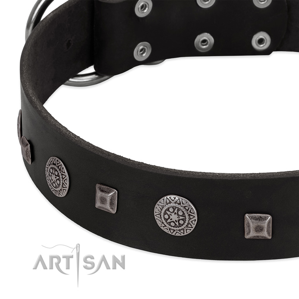 Stunning full grain leather collar with embellishments for your doggie