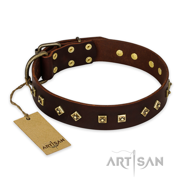 Trendy leather dog collar with strong hardware