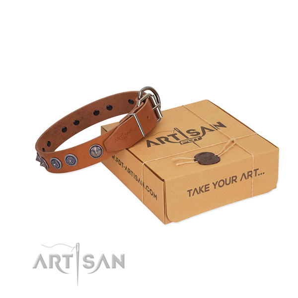 Rust resistant buckle on full grain genuine leather dog collar for daily walking your canine