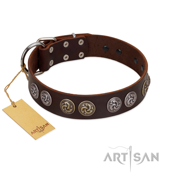 Corrosion proof D-ring on fashionable full grain natural leather dog collar