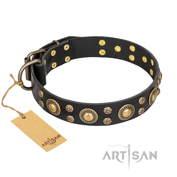 Basic training dog collar of quality leather with studs