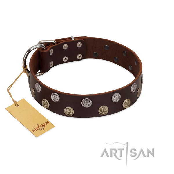 Natural leather dog collar with stylish design decorations for your canine