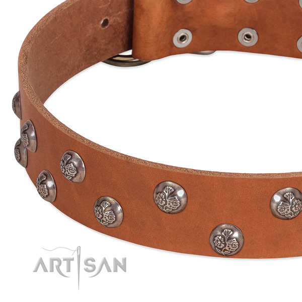 Leather dog collar with strong traditional buckle and studs