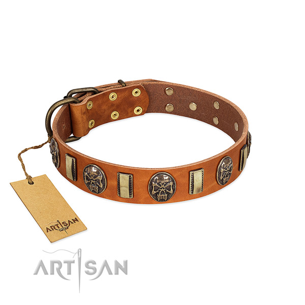 Handmade full grain leather dog collar for daily use