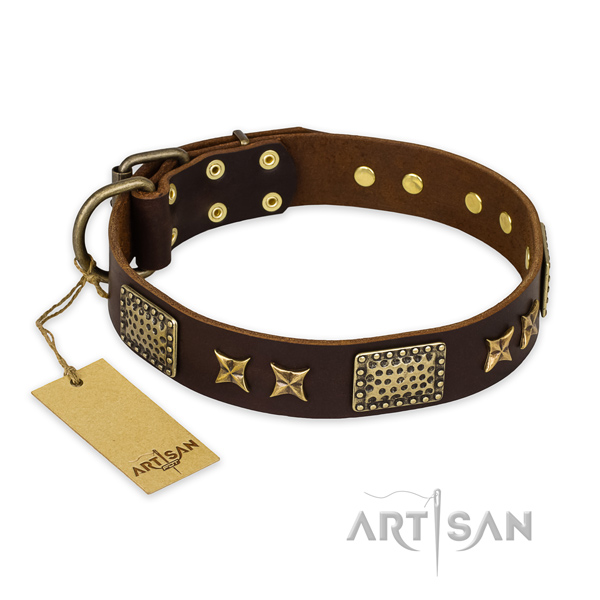 Unique genuine leather dog collar with reliable hardware