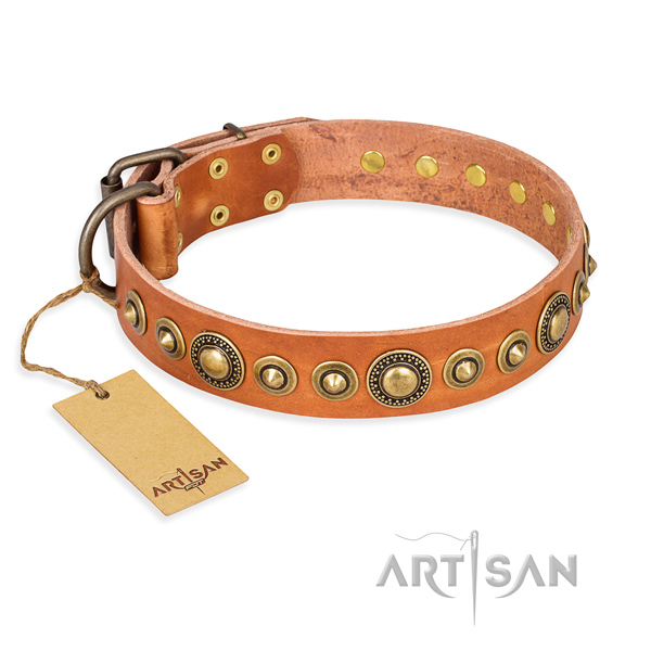 Top rate genuine leather collar created for your pet