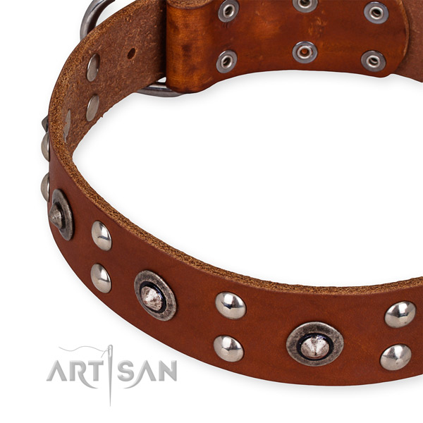 Full grain natural leather collar with rust resistant D-ring for your handsome doggie