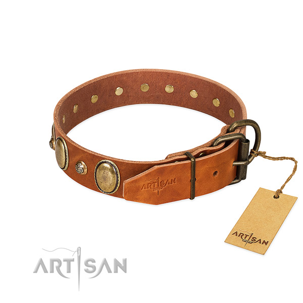 Walking genuine leather dog collar
