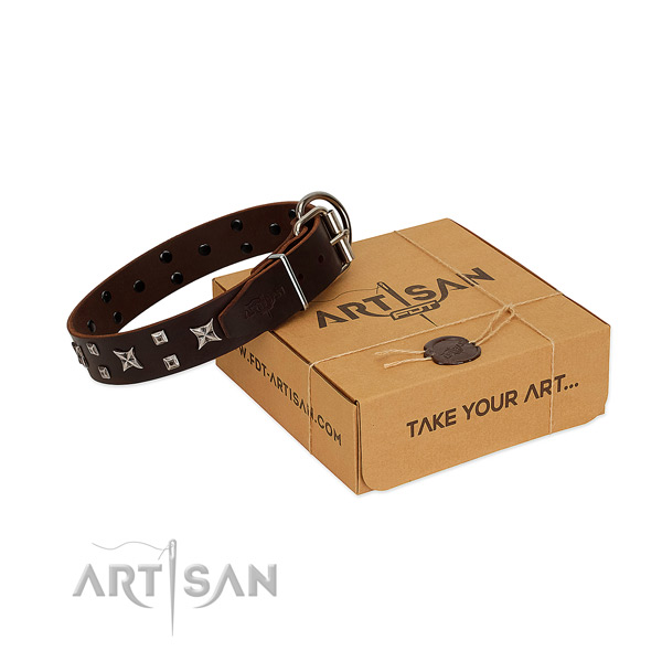 Full grain leather dog collar with remarkable adornments for daily walking