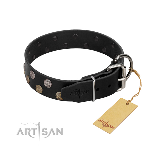 Fashionable collar of full grain genuine leather for your impressive four-legged friend