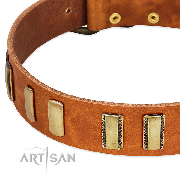 Best quality full grain genuine leather dog collar with adornments for handy use