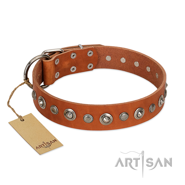 Reliable natural leather dog collar with fashionable studs