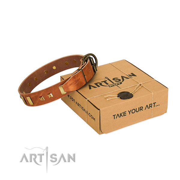 Top notch full grain leather dog collar with studs for easy wearing