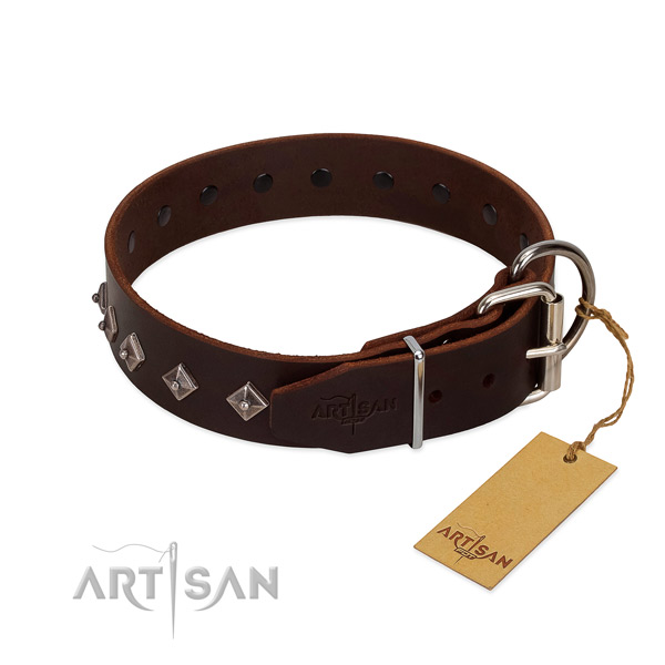 Significant adornments on genuine leather collar for daily walking your four-legged friend