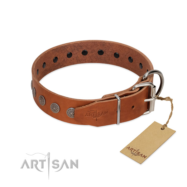 Amazing decorations on leather collar for easy wearing your four-legged friend
