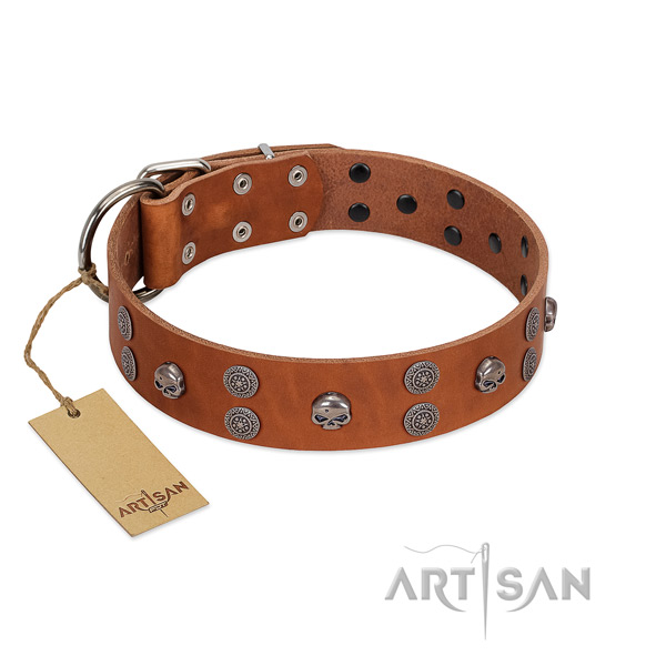 Soft natural leather dog collar with decorations for walking