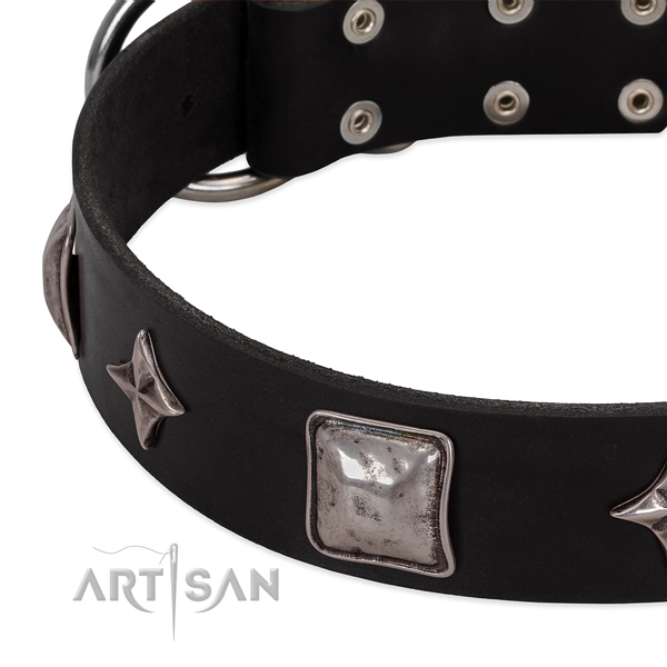 Everyday use full grain genuine leather dog collar with incredible studs