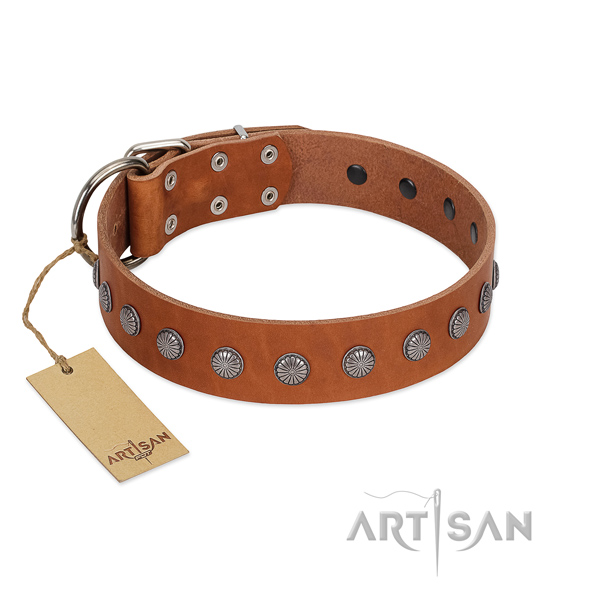 Inimitable adornments on leather collar for daily walking your doggie