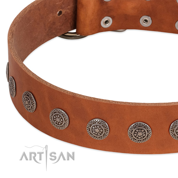 Handmade genuine leather collar with adornments for your doggie