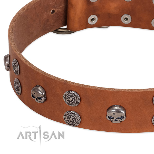 Soft to touch full grain leather dog collar with exceptional studs