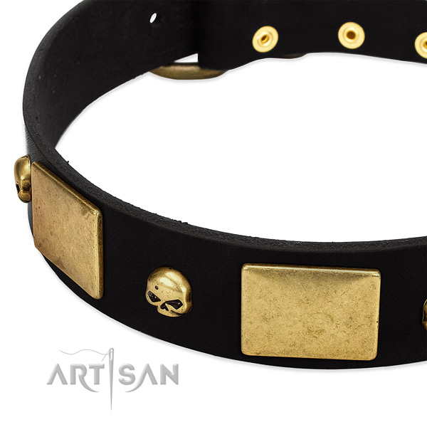 Amazing full grain natural leather collar for your stylish doggie