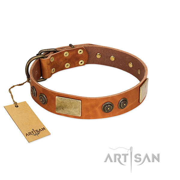 Remarkable full grain natural leather dog collar for easy wearing