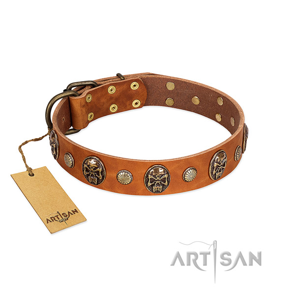 Significant full grain genuine leather dog collar for fancy walking