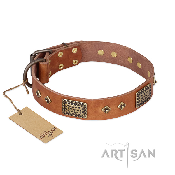Studded full grain genuine leather dog collar for daily walking