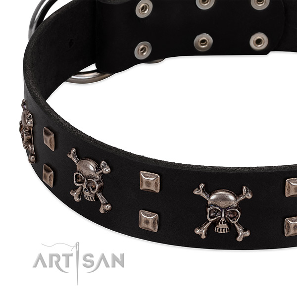 Studded collar of full grain leather for your lovely pet
