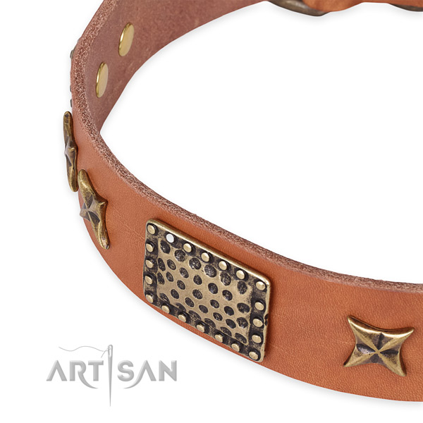 Genuine leather collar with reliable traditional buckle for your attractive doggie