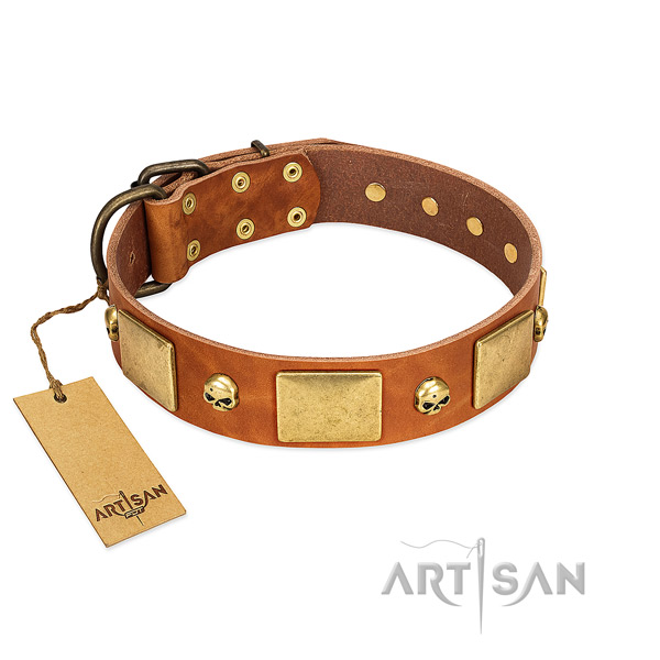 Durable leather dog collar with corrosion resistant embellishments