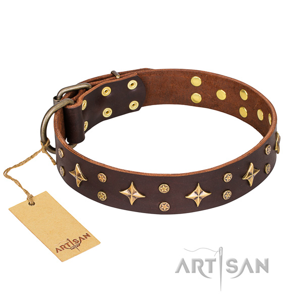 Daily walking dog collar of top quality leather with studs