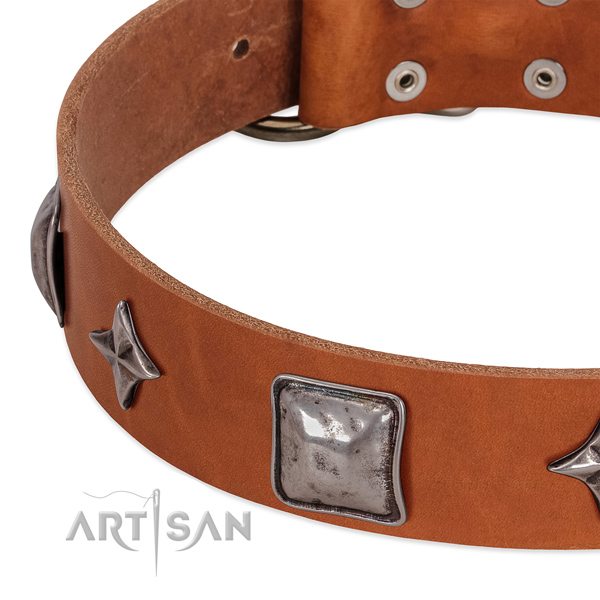 Full grain leather collar with awesome studs for your dog