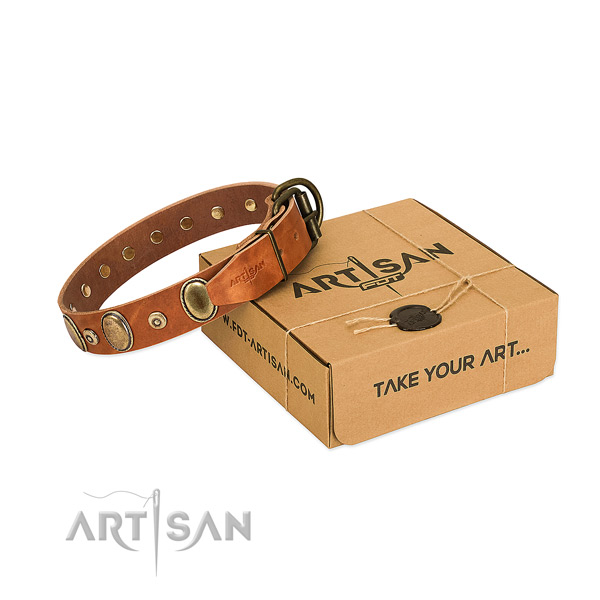 Best quality genuine leather collar crafted for your dog