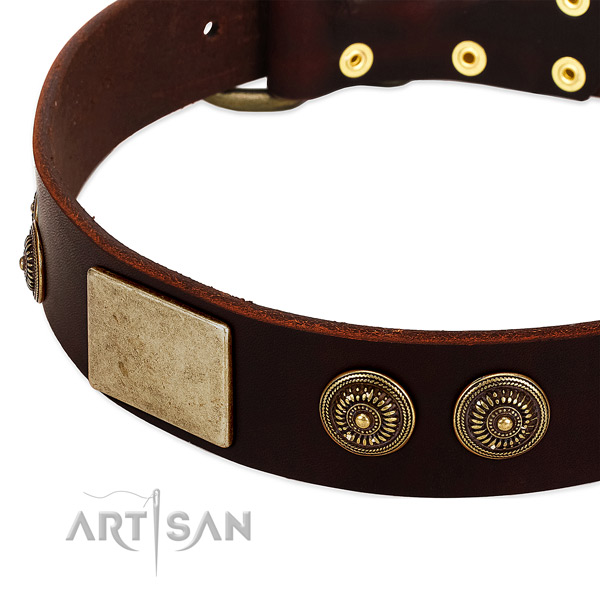 Durable traditional buckle on full grain leather dog collar for your four-legged friend